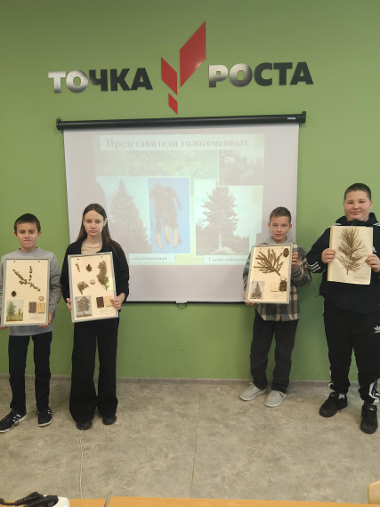 Занятия в ТР.